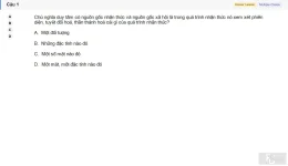 MLN111 SU26 C2FE_001.webp