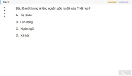 MLN111 SU26 C2FE_005.webp