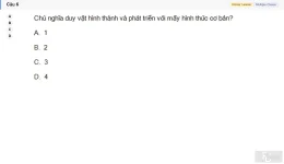 MLN111 SU26 C2FE_006.webp