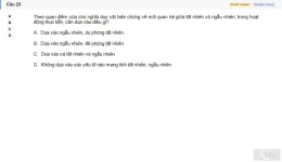 MLN111 SU26 C2FE_023.webp