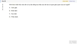 MLN111 SU26 C2FE_028.webp