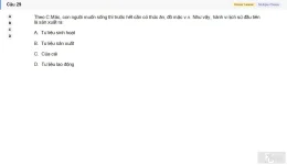 MLN111 SU26 C2FE_029.webp