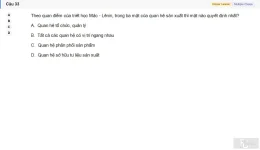 MLN111 SU26 C2FE_033.webp