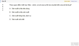 MLN111 SU26 C2FE_035.webp