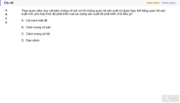 MLN111 SU26 C2FE_044.webp