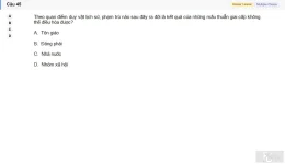 MLN111 SU26 C2FE_045.webp