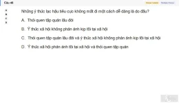 MLN111 SU26 C2FE_046.webp