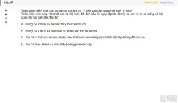 MLN111 SU26 C2FE_047.webp