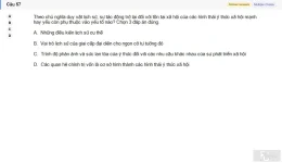 MLN111 SU26 C2FE_057.webp