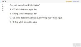 MLN111 SU26 C2FE_058.webp