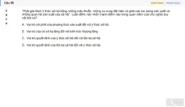 MLN111 SU26 C2FE_059.webp