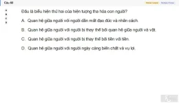 MLN111 SU26 C2FE_060.webp