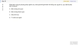 MLN111 SU26 RE_010.webp