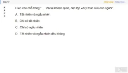 MLN111 SU26 RE_017.webp