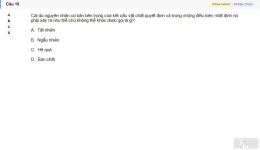 MLN111 SU26 RE_018.webp