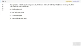 MLN111 SU26 RE_033.webp