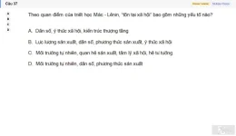 MLN111 SU26 RE_037.webp