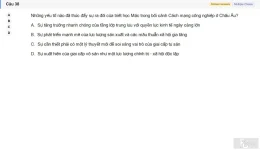 MLN111 SU26 RE_038.webp