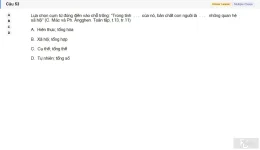 MLN111 SU26 RE_053.webp