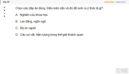 MLN111 SU26 RE_057.webp