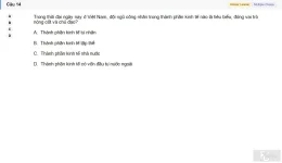 MLN131 SU26 FE RE_014.webp