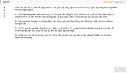 MLN131 SU26 FE RE_036.webp