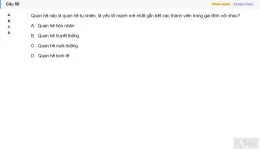 MLN131 SU26 FE RE_050.webp