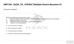 SWT301 SU26 FE_014.webp