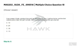 MAS202 SU26 FE_018.webp