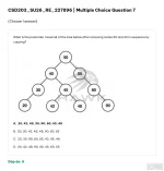 CSD203 SU26 FE RE_007.webp