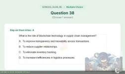 SCM202 SU26 FE RE_038.webp