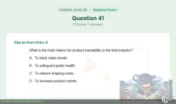 SCM202 SU26 FE RE_041.webp