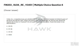 FIN202 SU26 FE RE_006.webp