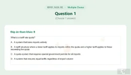 IBI101 SU26 FE RE_001.webp