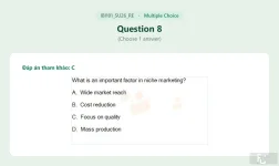 IBI101 SU26 FE RE_008.webp