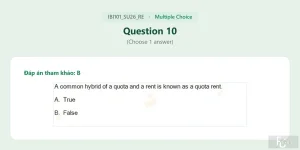 IBI101 SU26 FE RE_010.webp