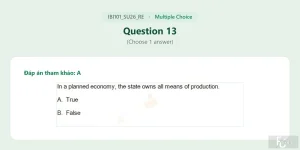 IBI101 SU26 FE RE_013.webp