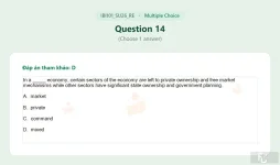 IBI101 SU26 FE RE_014.webp