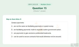 IBI101 SU26 FE RE_015.webp