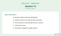 IBI101 SU26 FE RE_016.webp