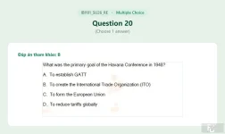 IBI101 SU26 FE RE_020.webp