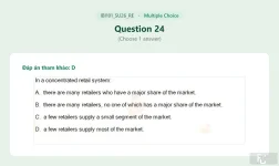 IBI101 SU26 FE RE_024.webp