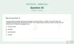 IBI101 SU26 FE RE_036.webp