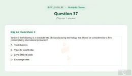 IBI101 SU26 FE RE_037.webp