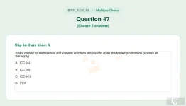 IBI101 SU26 FE RE_047.webp