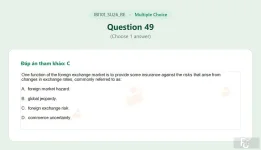 IBI101 SU26 FE RE_049.webp