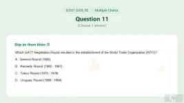 IEI301 SU26 FE RE_011.webp