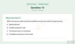 IEI301 SU26 FE RE_015.webp