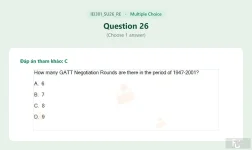 IEI301 SU26 FE RE_026.webp
