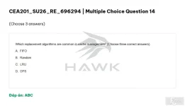 CEA201 SU26 FE RE_014.webp